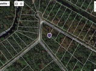 NW Avenue Lot #1, Webster, FL 33597