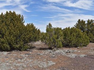 2042 Supancheck Rd LOT 25, Show Low, AZ 85901
