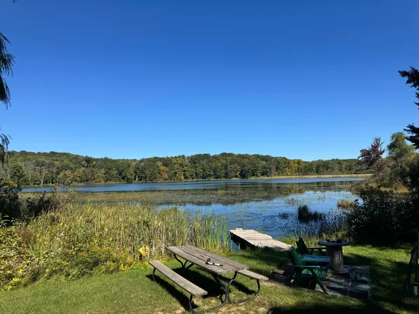7293 E Hungerford Lake Dr, Big Rapids, MI 49307