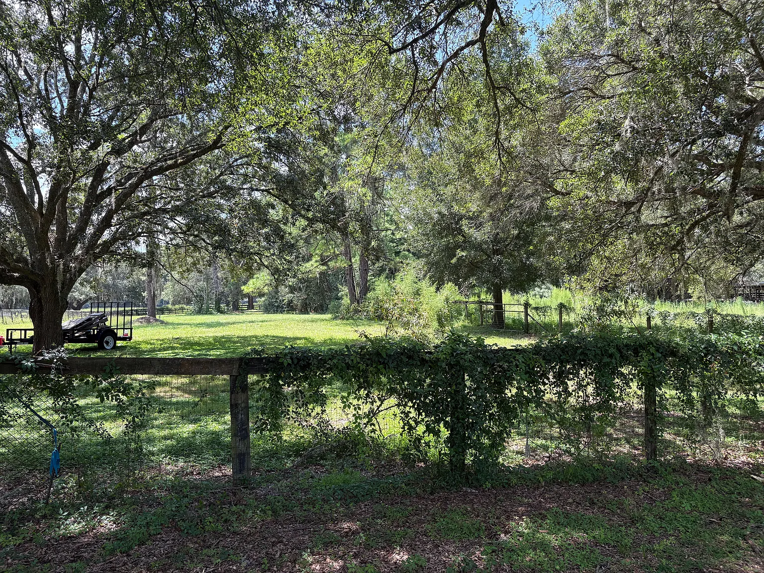 2 bed, 1224 sqft, $1,875 — Photo 2