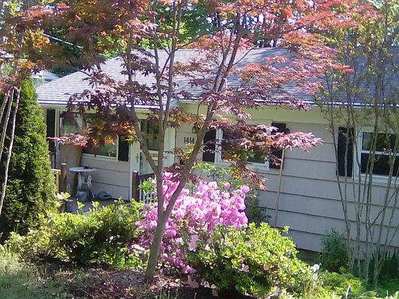 Mature, flowering garden