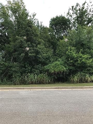 1st image of E Pine St