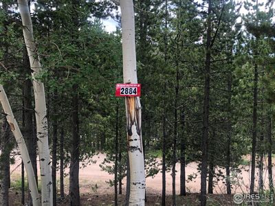 2884 Osage Trl, Red Feather Lakes, CO, 80545