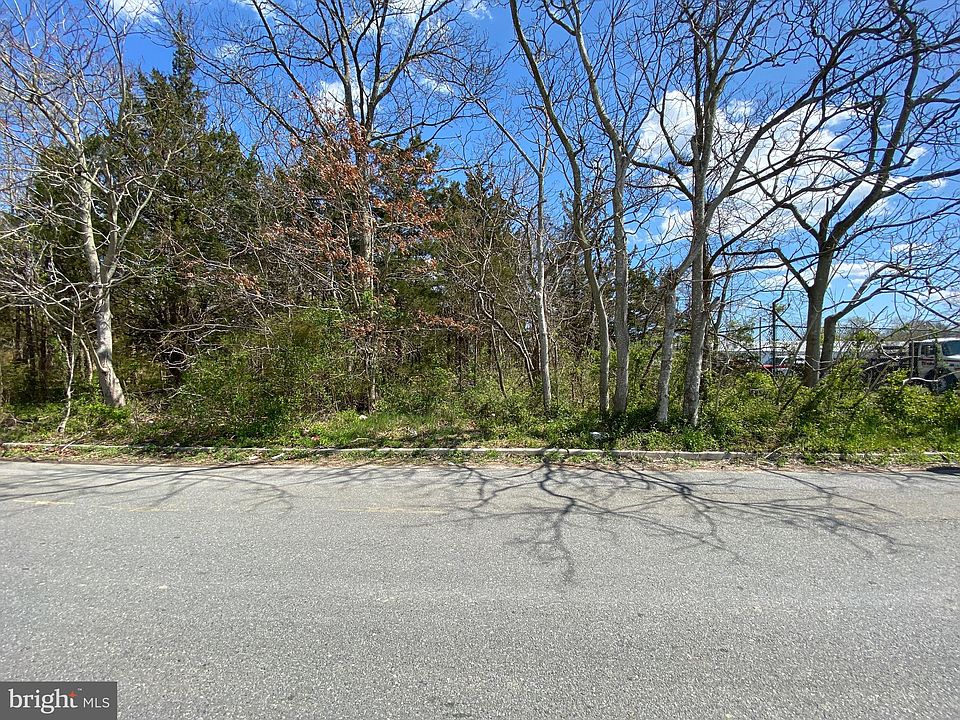 2nd image of 40 Somerset Ave