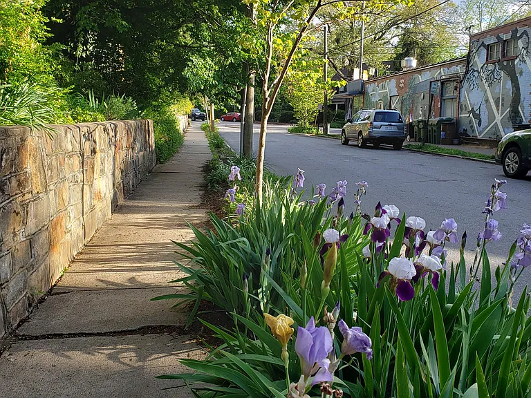 Cumberland Cir — Photo 14