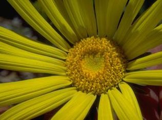 2604 Shadow Mountain Dr, San Ramon, CA 94583