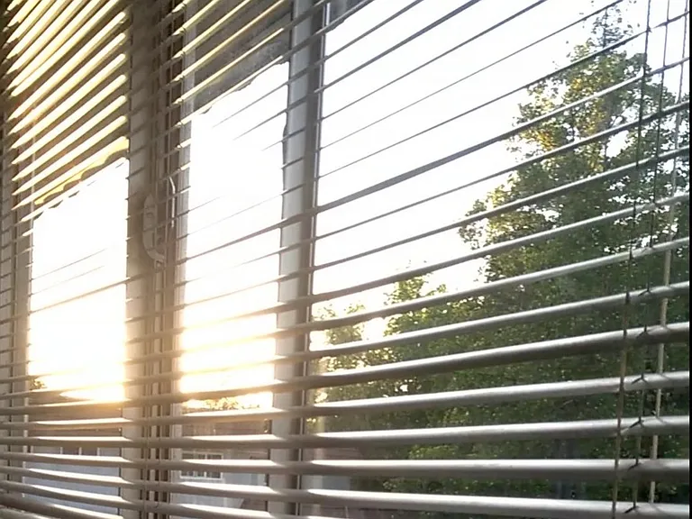 Sunset/tree Views
