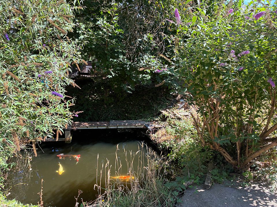 Koi pond view from 16' x 22' back deck. Pond is 9-1/2' deep, 10,000 gallons.