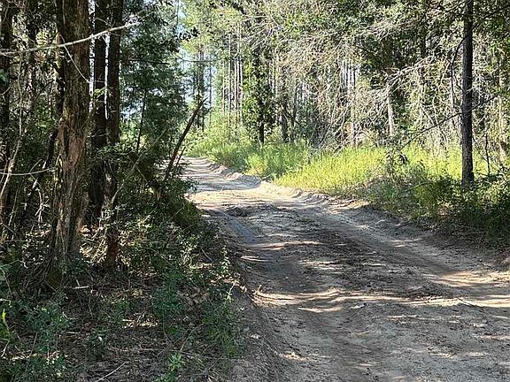 3rd image of LOT 72 Posie Forest Rd