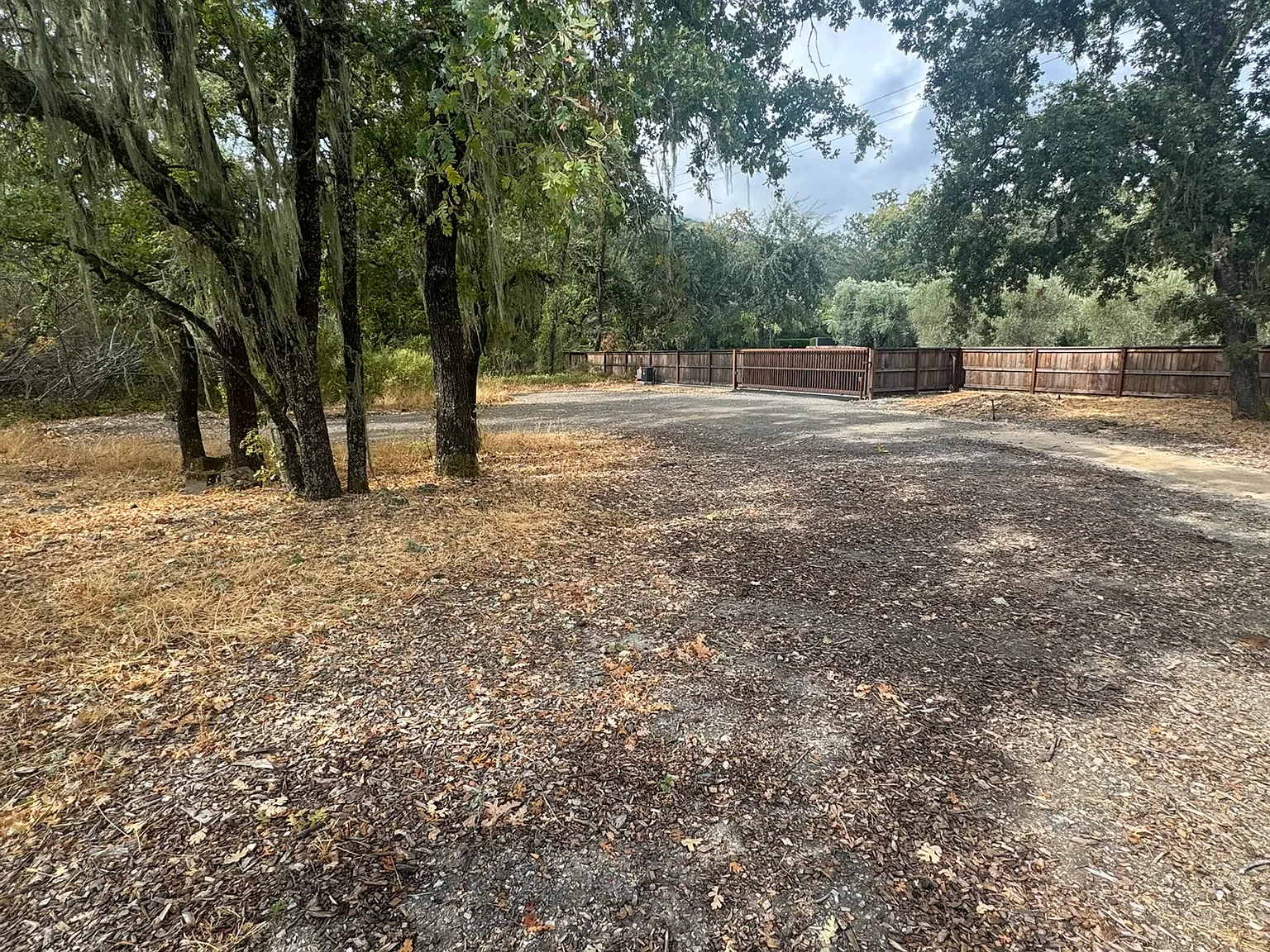 2 bed, 1000 sqft, $3,400 — Photo 3