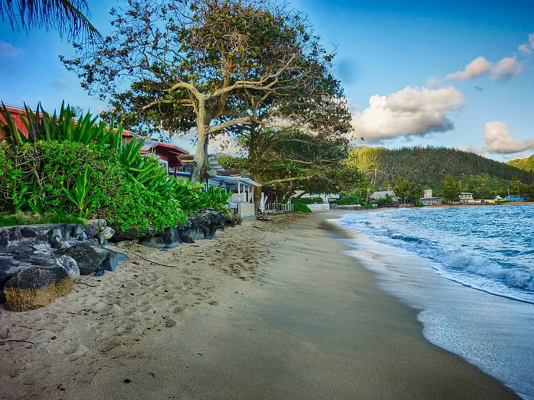 Beach in front of the seawall.