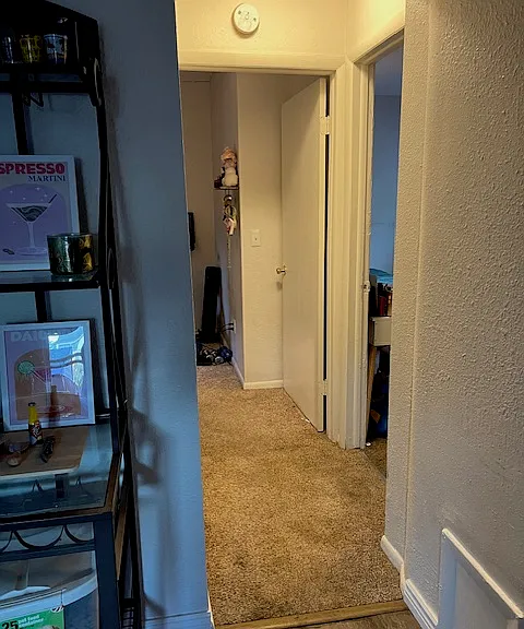 Hallway to bedrooms/laundry from living room
(bathroom to right)