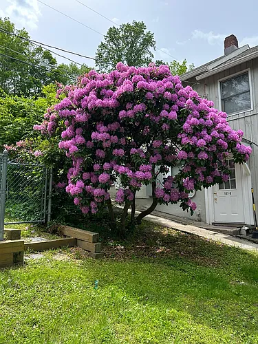 107 Boulevard Dr Photo 1