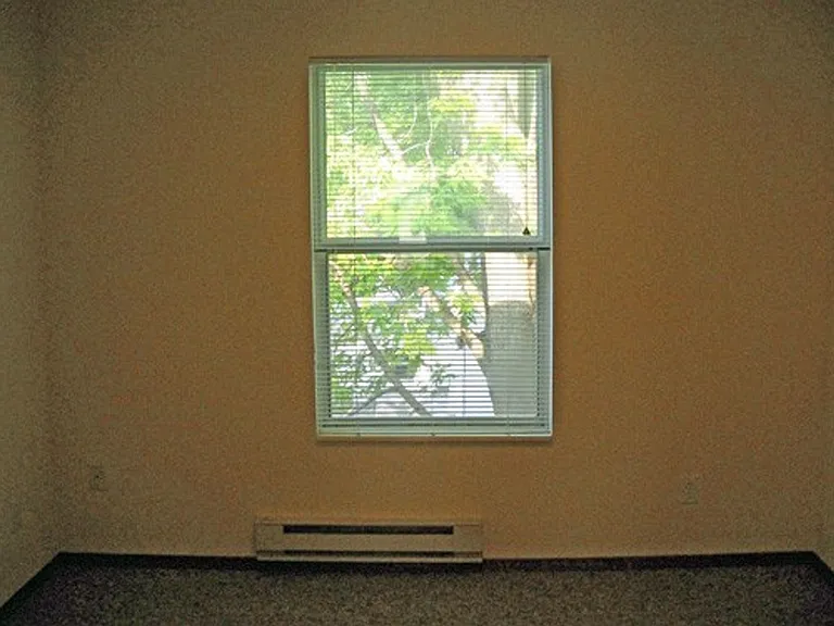 403 E Elm St — Photo 4