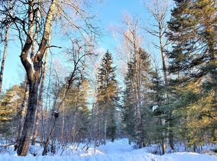 On Pioneer Rd, Conover, WI 54519