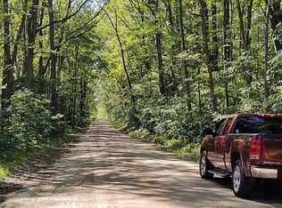 Stronach Dam Rd, Wellston, MI 49689