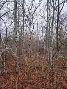 905 Veho Cir, Crossville, TN, 38572