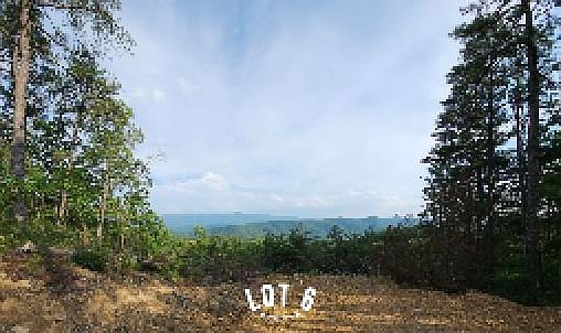 1st image of 2985 Reese Mountain Rd