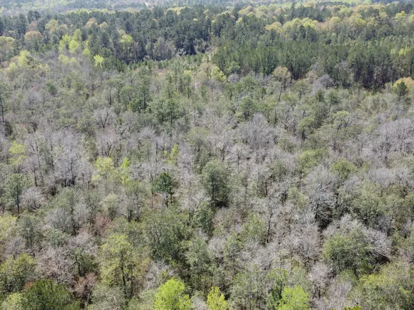 0 Otho Seals Rd, Lumberton, MS 39455