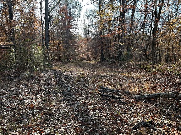 Photo Dec 12 2025 9 20 03 Am