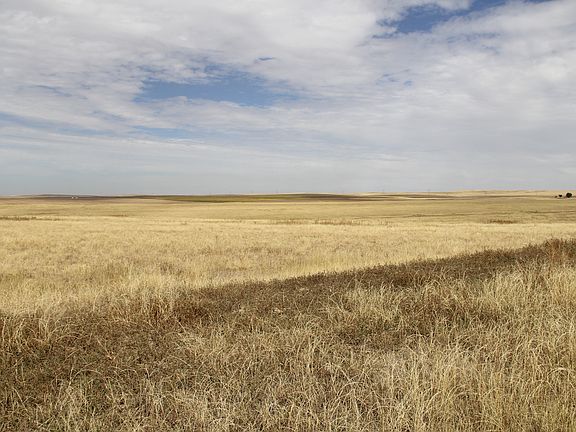 5th image of 39660 County Road 162