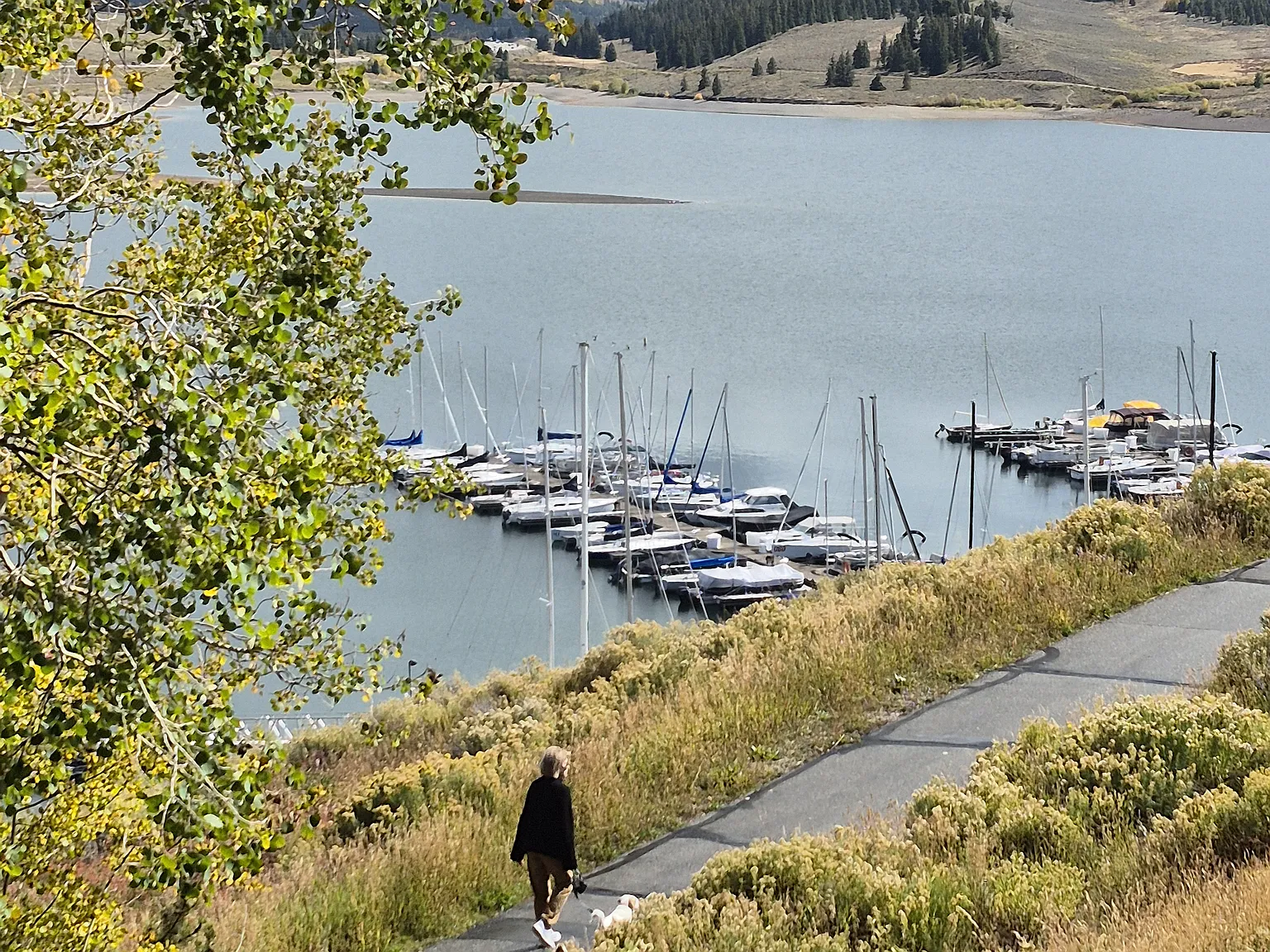 2 bed, 777 sqft, $3,600 — Photo 1
