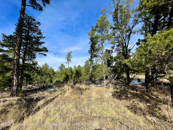L18a Eagle Rdg, Alto, NM 88312