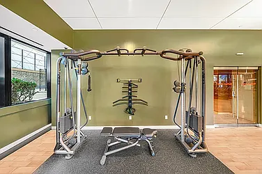 Rented by Vector New York, LLC