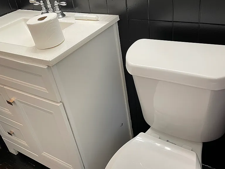 Vanity and toilet