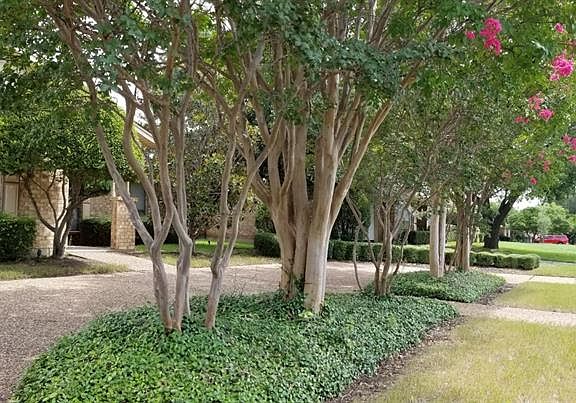 3rd image of 6709 Georgia Ave