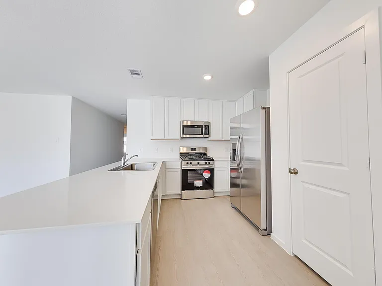 29043 Pearl Barley Way — Photo 7