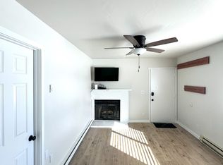 256 Cove Blvd, Dillon, CO 80435