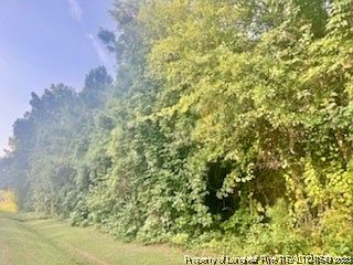 2nd image of Ray Rd