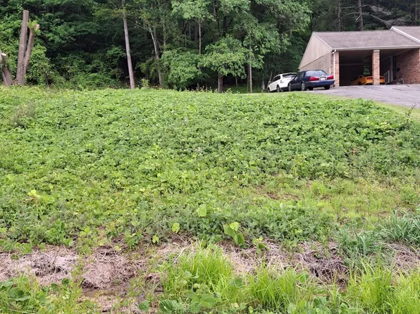 6th Ave E, Big Stone Gap, VA 24219