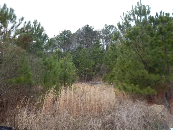 Faith School Rd, Mc Calla, AL 35111