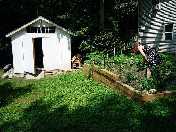 Shed/ garden