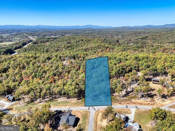 90 Split Creek Rd #90, Morganton, GA 30560