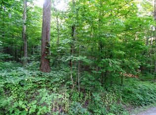 LOT 19 Rhodes Rd #19, Lodi, NY 14860