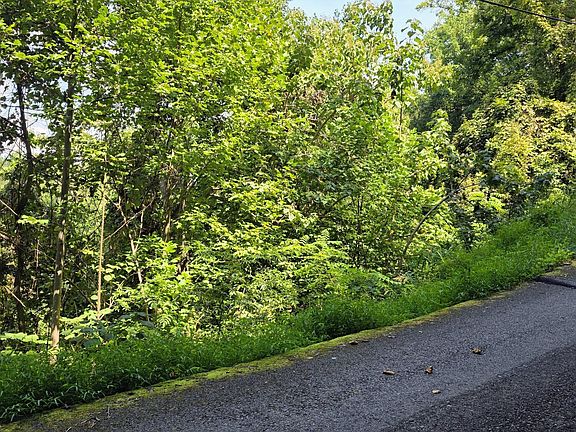 4th image of 28 Sugar Maple Loop Rd
