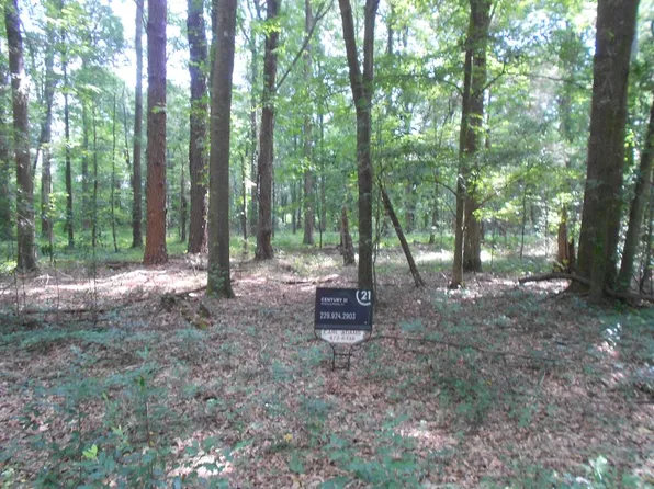 514 Patricia Dr, Montezuma, GA 31063