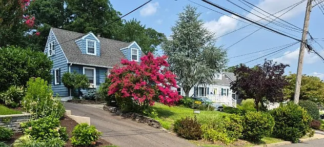 attractive cape cod style home with wonderful and inviting landscaping and areas to relax. very close to 41 acres browns woods preserve.