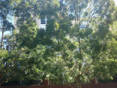 530 4th Ave W APT 302, Seattle, WA, 98119