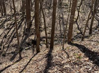 Cordertown Rd, Coeburn, VA 24230