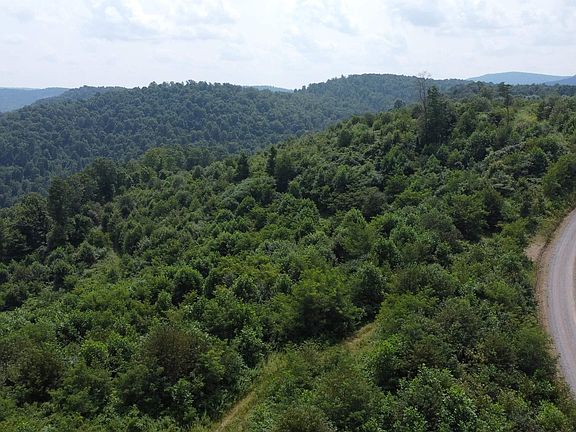 2nd image of 31 Burch Hill Rd
