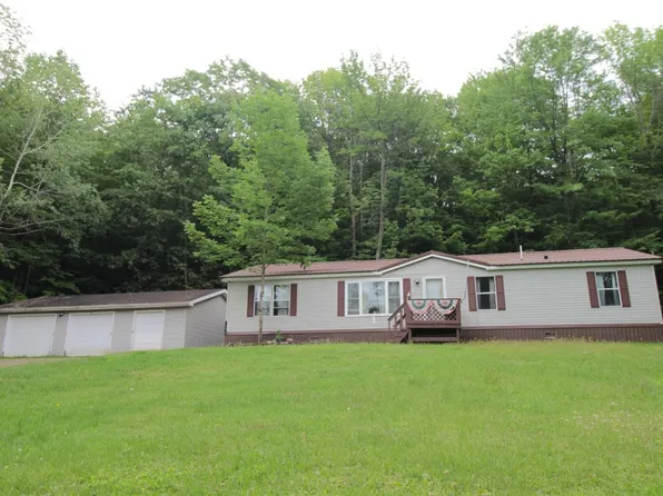 106 Lingee Rd, Afton, NY 13730
