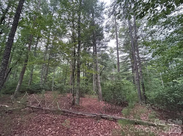 59 Captains Dr Unit 224, Nebo, NC 28761