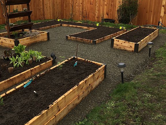Landscaped vegetable garden