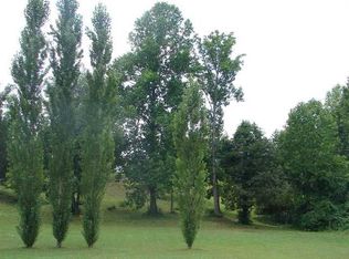 56 Tom Newman Rd, Dunlap, TN 37327