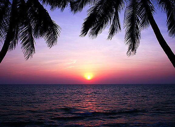 Beautiful Gulf Sunsets!