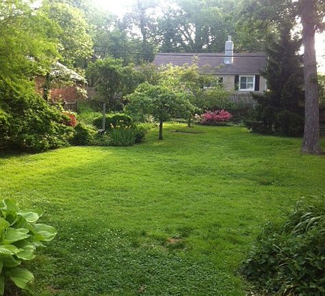 Back yard view from rear patio